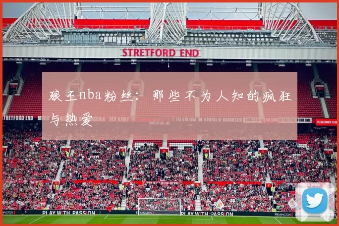 狼王nba粉丝:那些不为人知的疯狂与热爱