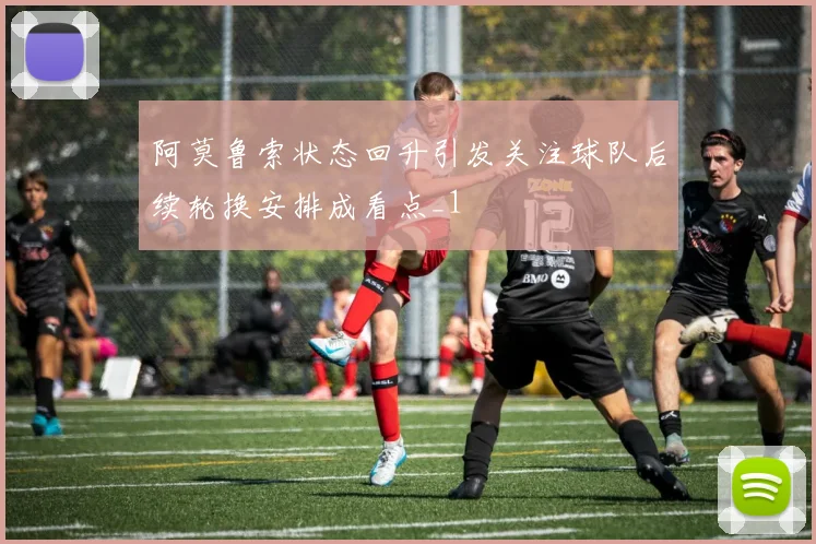 阿莫鲁索状态回升引发关注球队后续轮换安排成看点_1