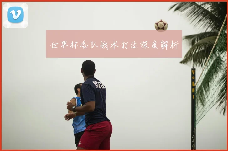 世界杯各队战术打法深度解析