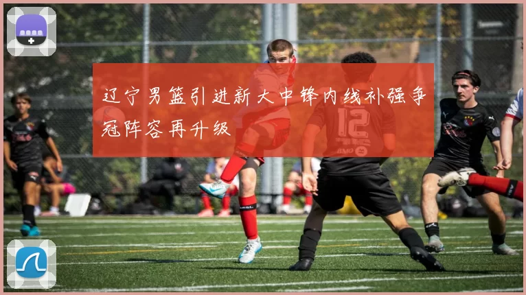 辽宁男篮引进新大中锋内线补强争冠阵容再升级